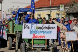 Narrentreiben 2025 (Fotos Rochus Hetzendorfer)